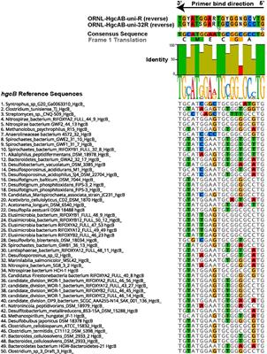 An Improved hgcAB Primer Set and Direct High-Throughput Sequencing Expand Hg-Methylator Diversity in Nature